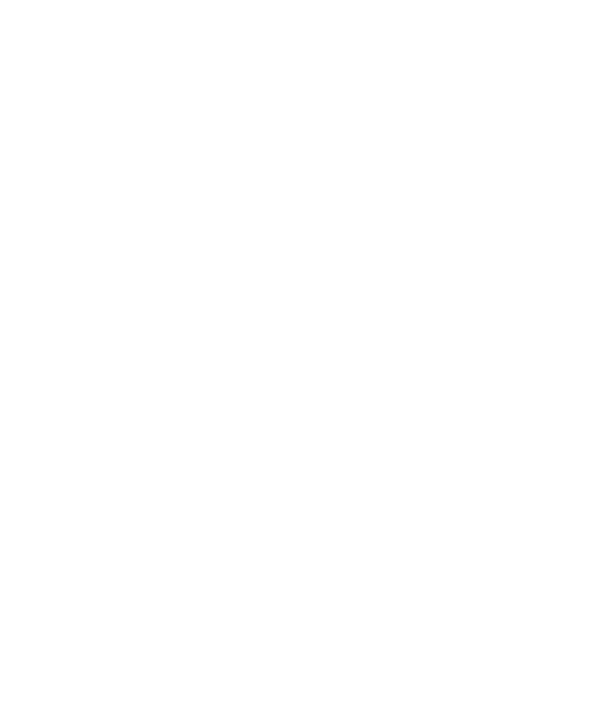 summit_logo_white.png